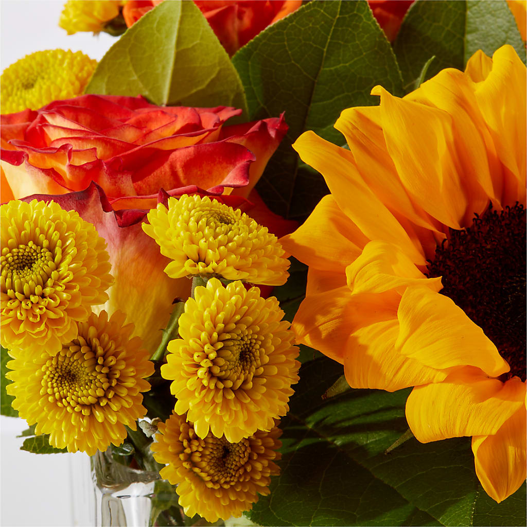 Picnic in the Park Bouquet –  Distinctive Design Studio Llc, Ham Lake MN