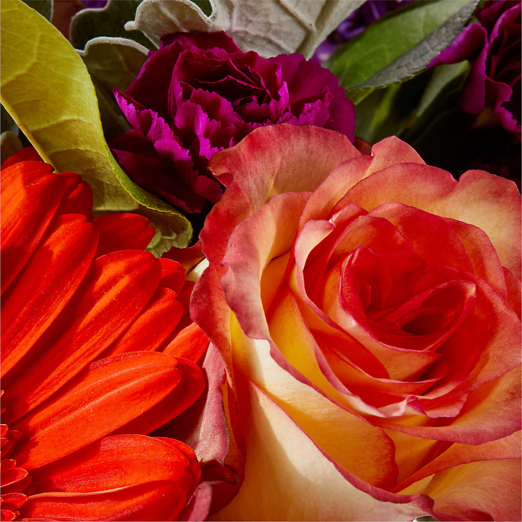 Sangria Bouquet –  Distinctive Design Studio Llc, Ham Lake MN