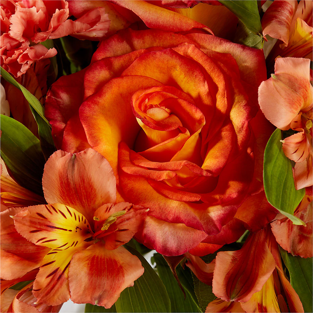 Apricot Glow Bouquet –  Distinctive Design Studio Llc, Ham Lake MN