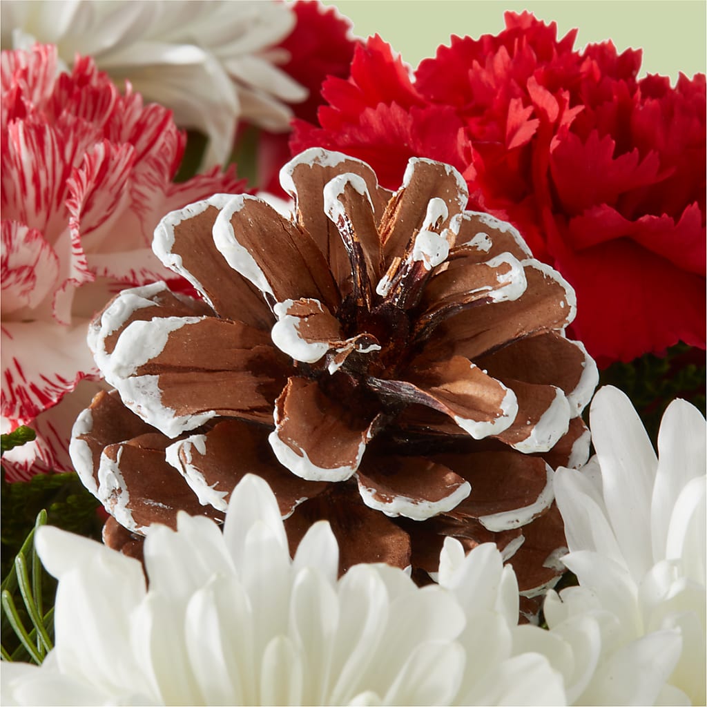 Candy Cane Lane Bouquet –  Distinctive Design Studio Llc, Ham Lake MN