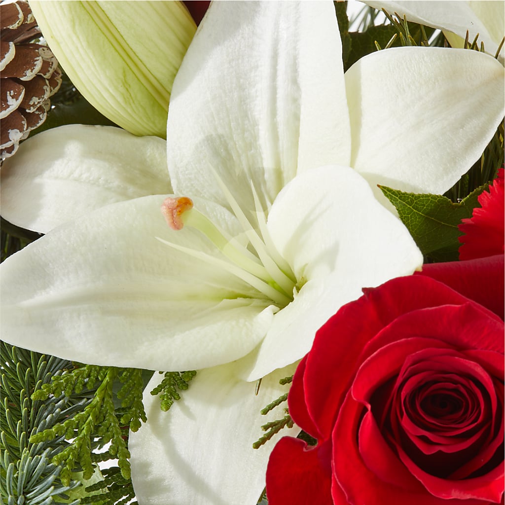 Oh So Jolly Bouquet –  Distinctive Design Studio Llc, Ham Lake MN