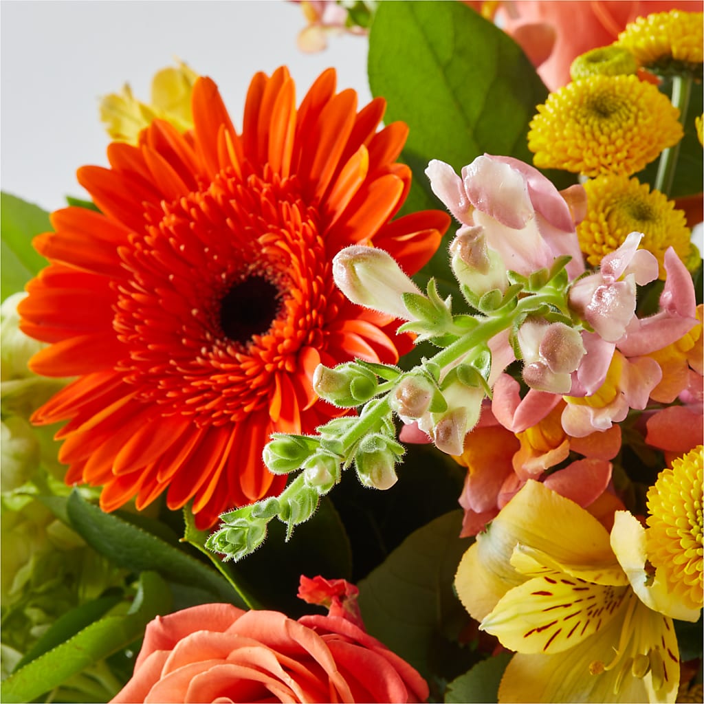 Autumn Sunshine Bouquet –  Distinctive Design Studio Llc, Ham Lake MN