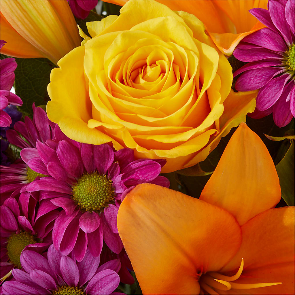 Colorful Visions Bouquet –  Distinctive Design Studio Llc, Ham Lake MN