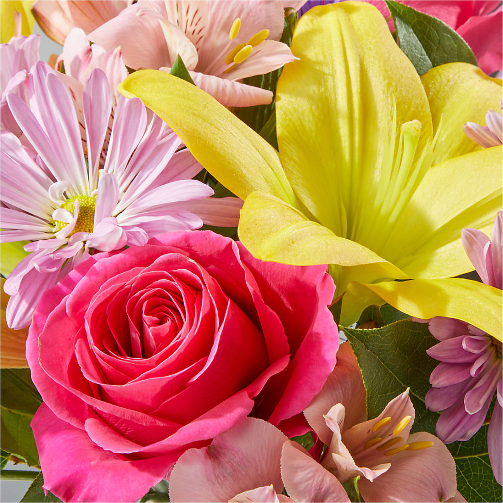 Sprinkles Bouquet –  Distinctive Design Studio Llc, Ham Lake MN