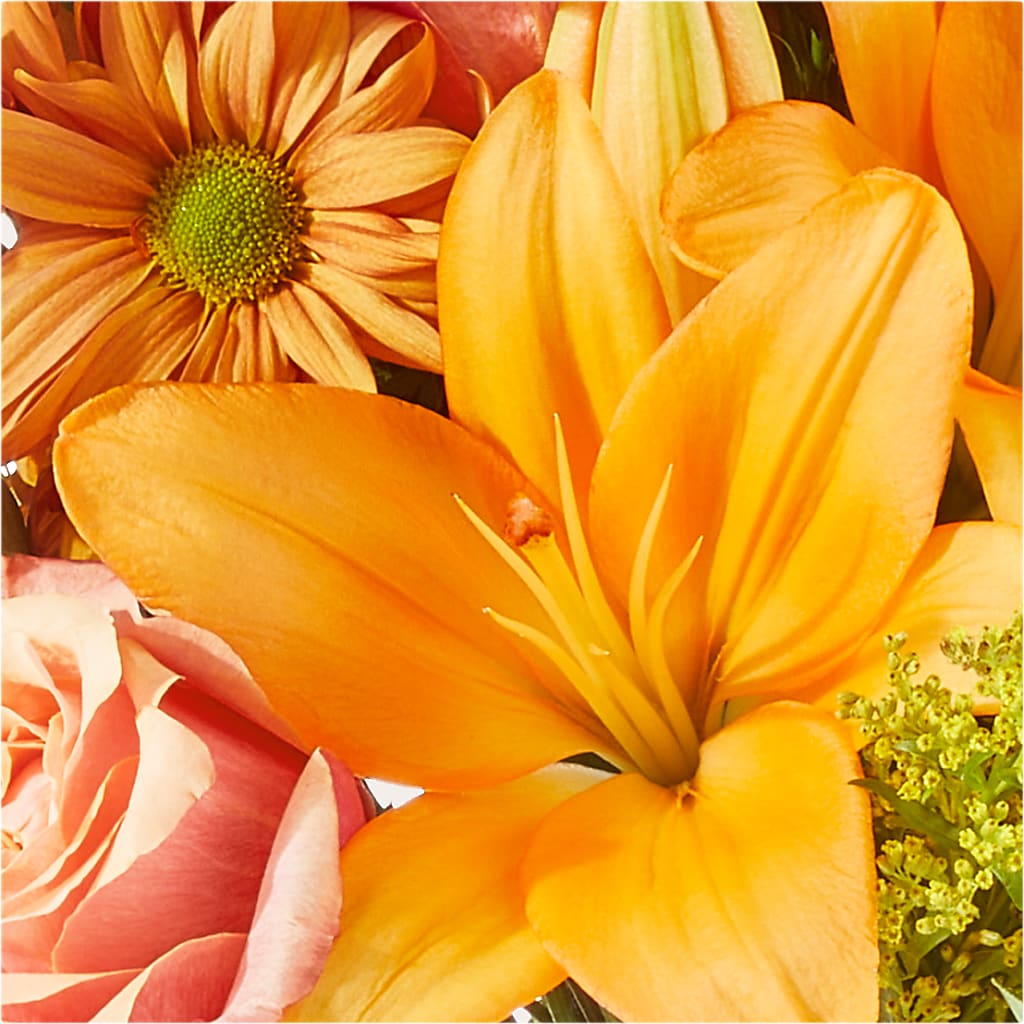 Harvest Hayride Bouquet –  Distinctive Design Studio Llc, Ham Lake MN