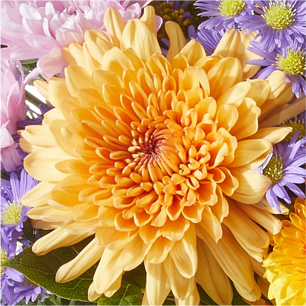 Countryside Bouquet –  Distinctive Design Studio Llc, Ham Lake MN