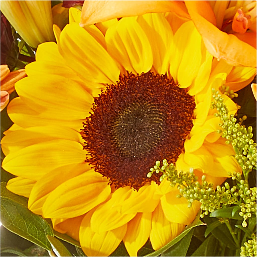 Seasons Change Bouquet –  Distinctive Design Studio Llc, Ham Lake MN