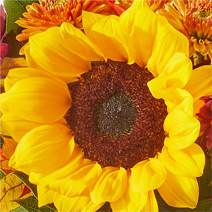 Sunny Side Bouquet –  Distinctive Design Studio Llc, Ham Lake MN