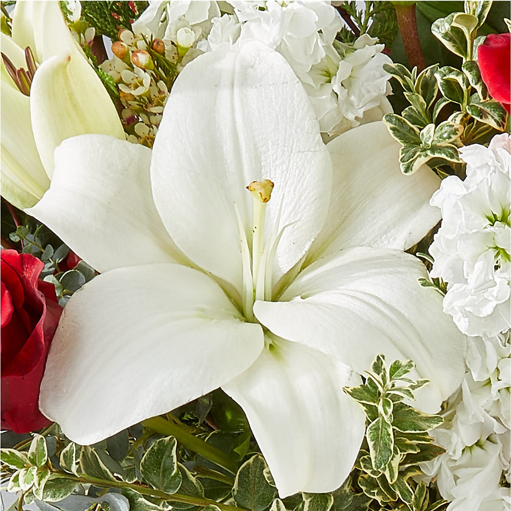 Twinkle Lights Bouquet –  Distinctive Design Studio Llc, Ham Lake MN