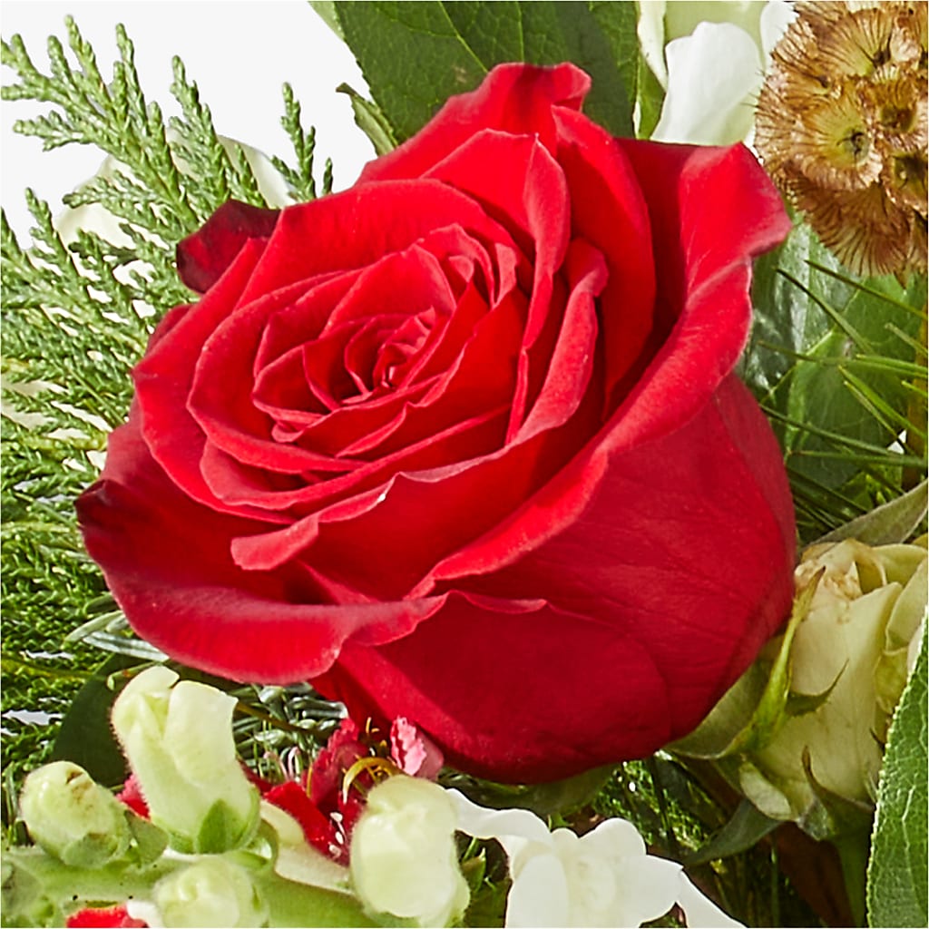 Deck the Halls Bouquet –  Distinctive Design Studio Llc, Ham Lake MN