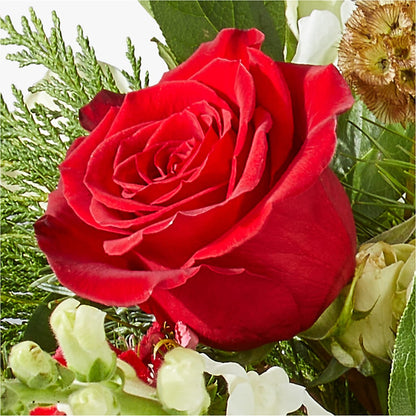 Deck the Halls Bouquet –  Distinctive Design Studio Llc, Ham Lake MN