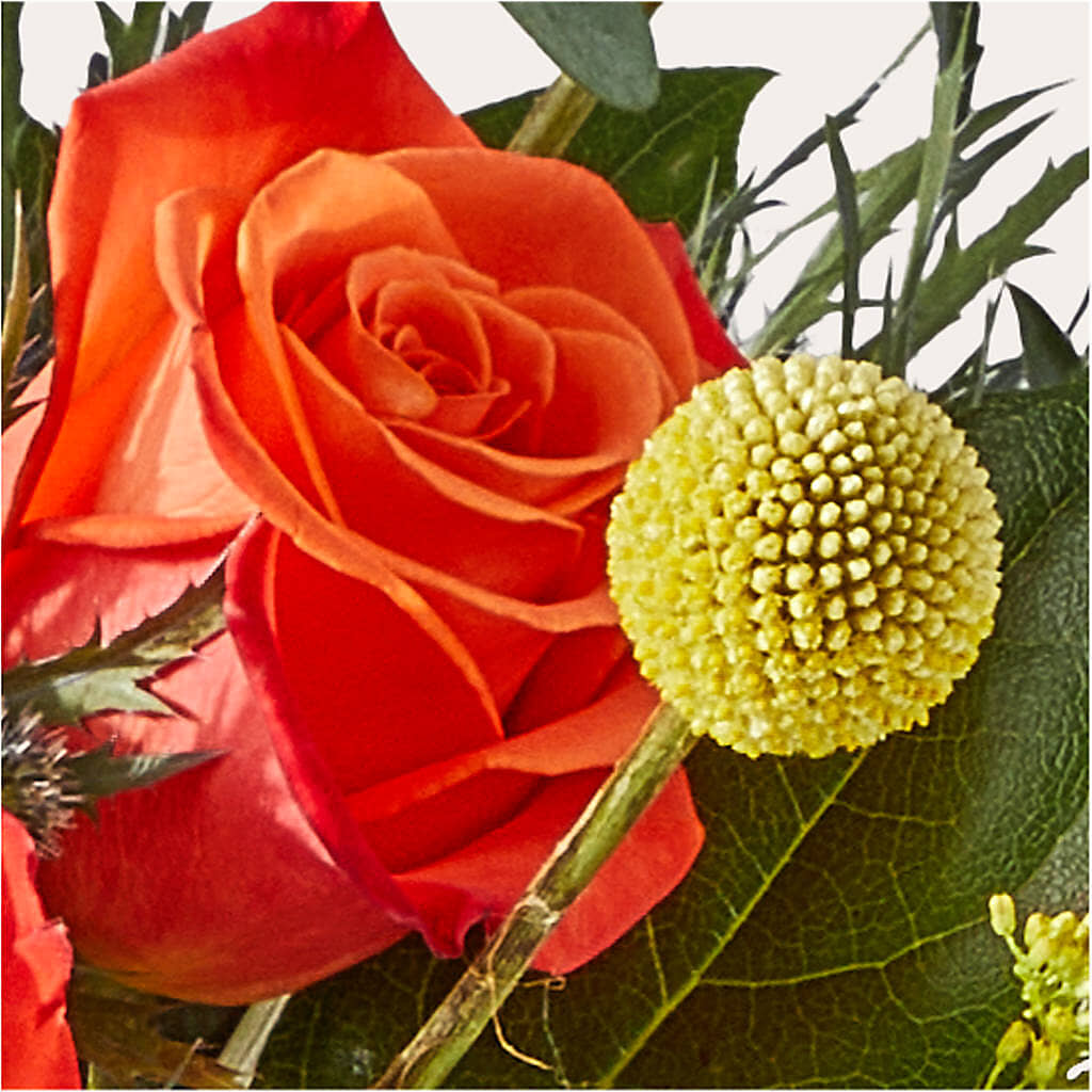 Disco Bouquet –  Distinctive Design Studio Llc, Ham Lake MN