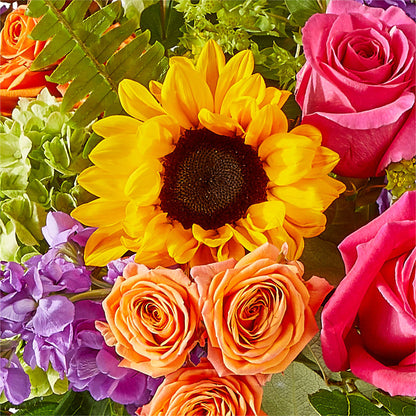 Vibrant Greetings Bouquet –  Distinctive Design Studio Llc, Ham Lake MN