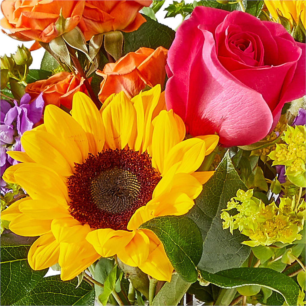 Vibrant Greetings Bouquet –  Distinctive Design Studio Llc, Ham Lake MN