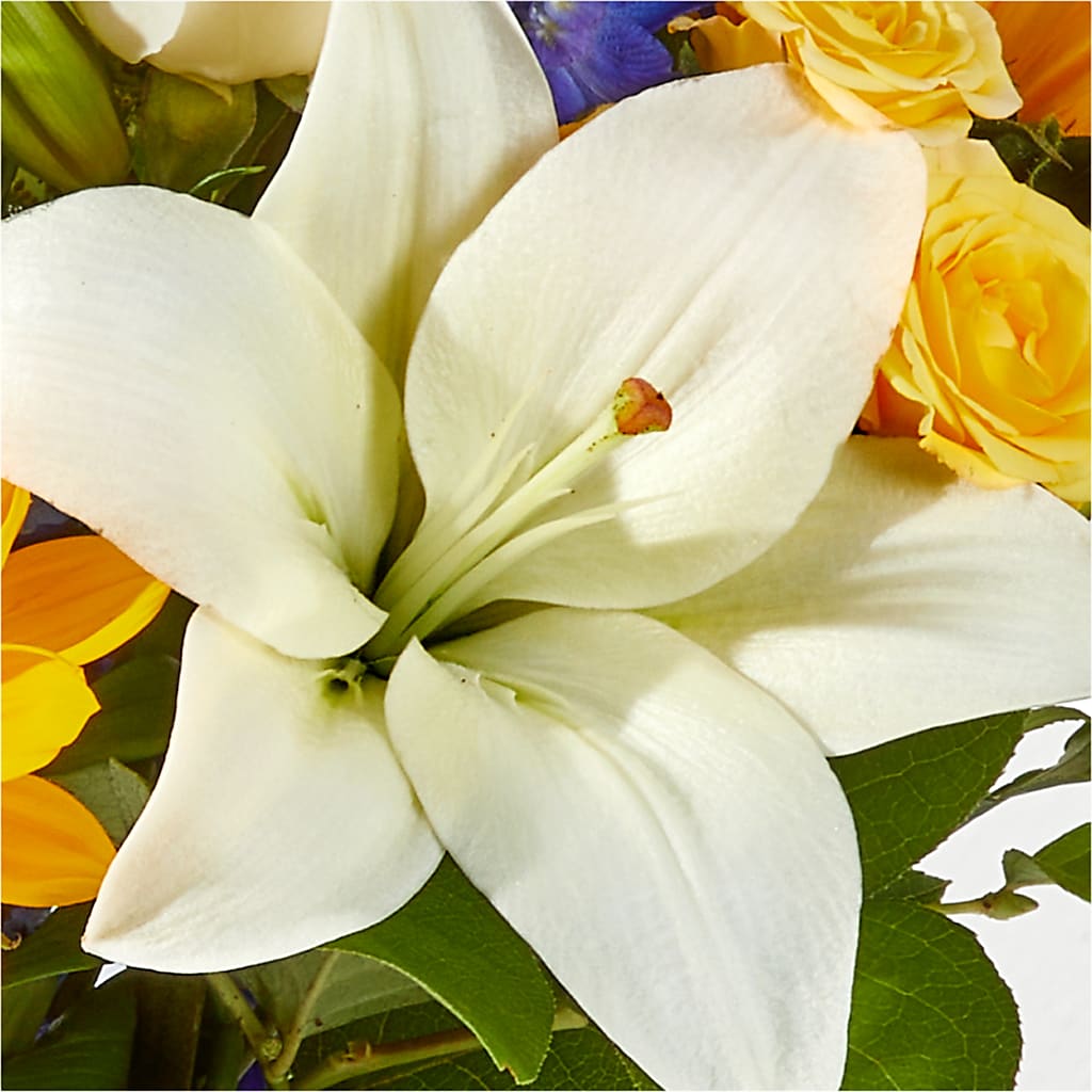 Wonderfully Sunny Bouquet –  Distinctive Design Studio Llc, Ham Lake MN