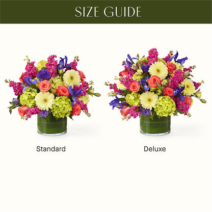 The Couture –  Distinctive Design Studio Llc, Ham Lake MN