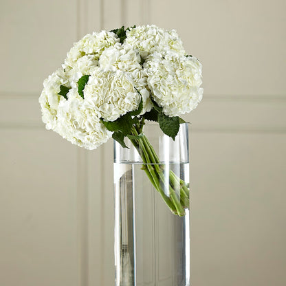 White Hydrangea Hand-Tied Bouquet –  Distinctive Design Studio Llc, Ham Lake MN