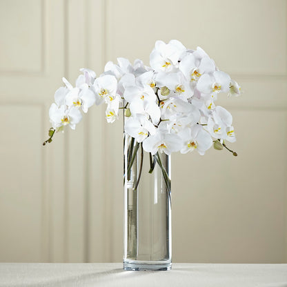 White Phalaenopsis Bouquet –  Distinctive Design Studio Llc, Ham Lake MN